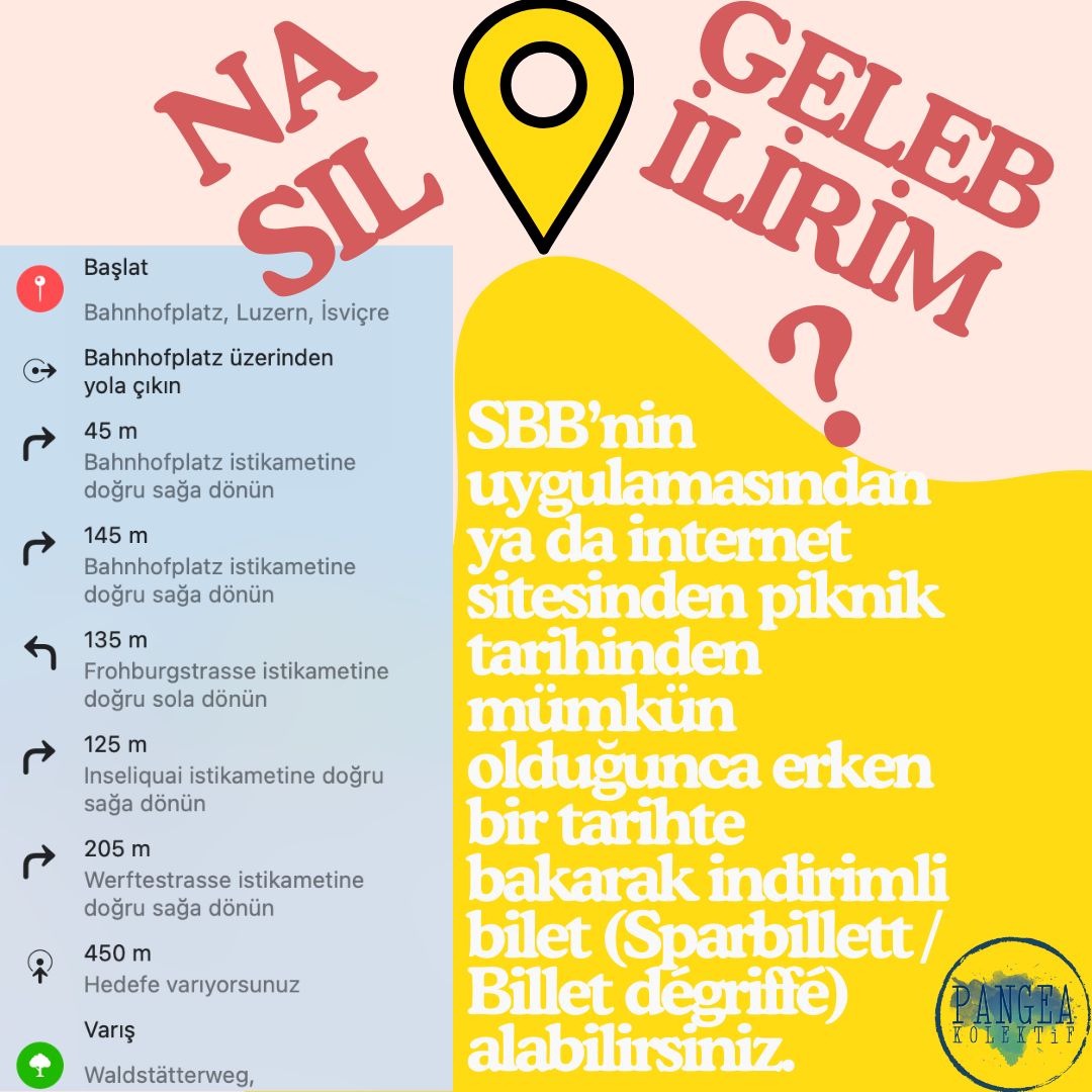 Geleneksel Yaz Pikniğine için Olmazsa Olmazlar Sayfası