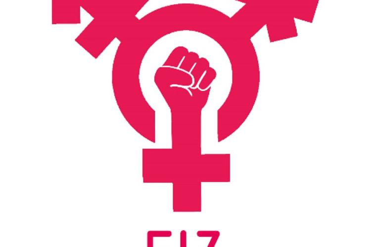 FİZ (Fachstelle Frauenhandel und Frauenmigration) kuruluşu logosu: Üçlü cinsiyet sembolünü (transgender sembolü) merkezine alan ve içinde sıkılmış bir yumruk gösteren pembe-kırmızı simge. Altında 'FİZ' yazısı ve 'Fachstelle Frauenhandel und Frauenmigration' alt başlığı bulunuyor.