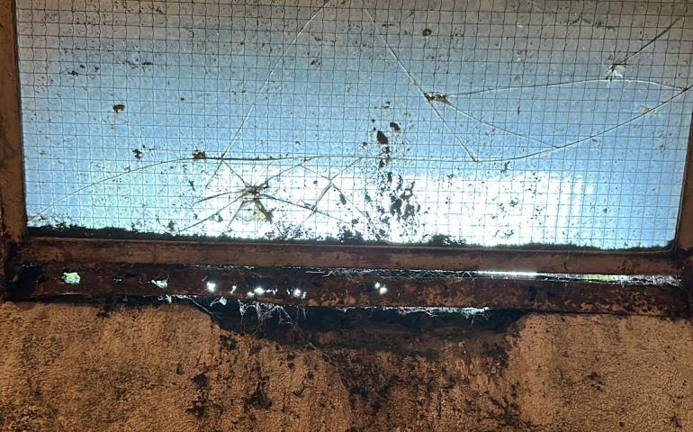 küflü duvar ve örümcek ağlı pencere