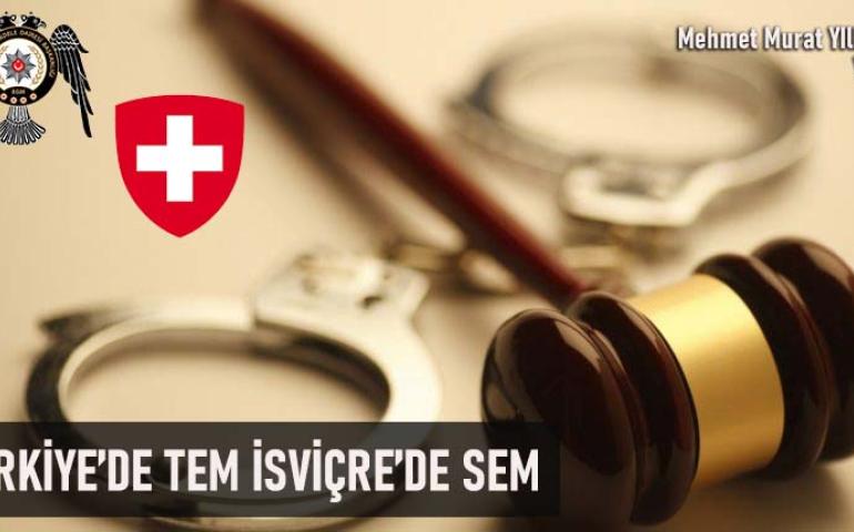 TEM_SEM