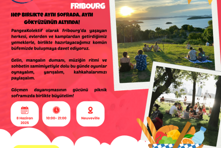 Fribourg Pikniğe dair afiş