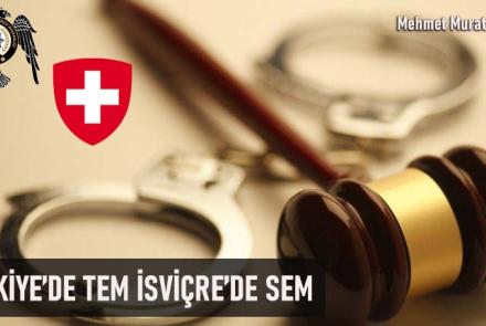 TEM_SEM